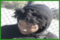 Swift Quis - Age, Family, Bio